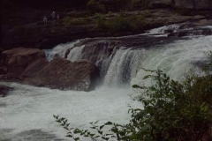 pict0009