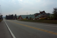 pict0229