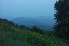 pict0206