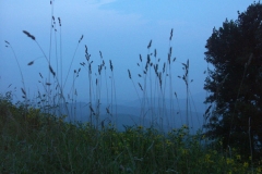 pict0208
