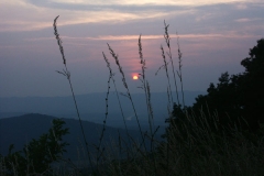 2ict0131