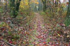 pict0077