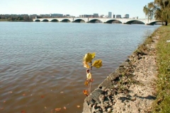 pb090362-vi