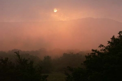 pict20045