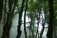 pict0118