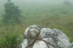 2ict0288