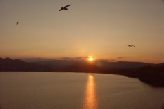 pict0051