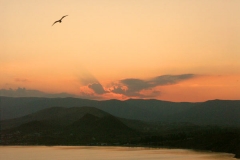 pict0089