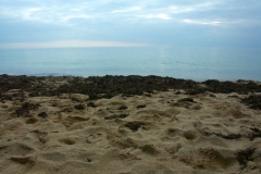 pict0019