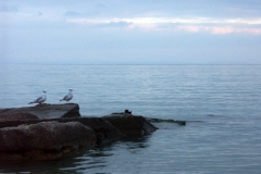 pict0066
