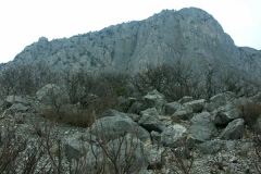 2pct0008