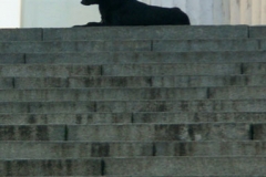 3ict0074