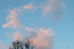 4ict0129
