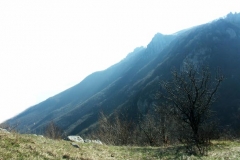 2ict0041