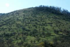 2ict0043