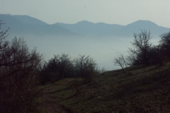 2ict0062