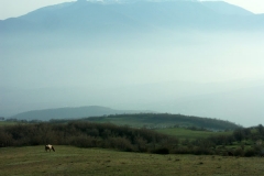 2ict0080