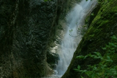 4ict0199