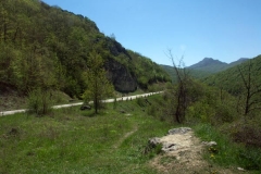 5ict0244