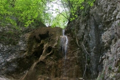 5ict0275