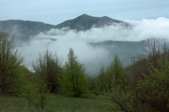 6ict0024