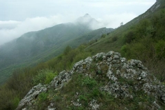 6ict0036