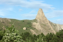 6ict0095
