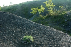 6ict0106