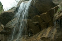 7ict0195
