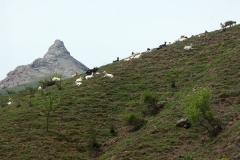 7ict0207