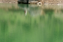 7ict0226