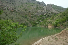 7ict0239