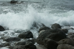 8ict0270