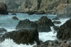 8ict0295