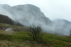 pict0016