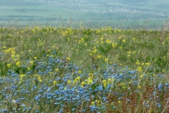 3ict0134