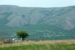 3ict0135
