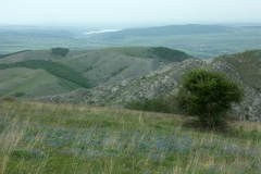 3ict0137