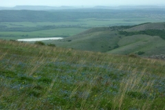 3ict0138
