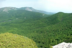 panorama1