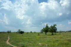 2ict0054