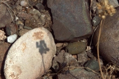 1ict0306