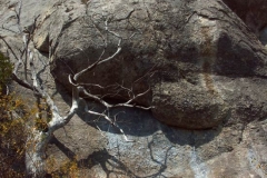 2ict0003