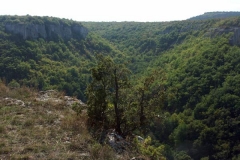pict0029
