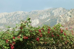 dscn0213