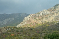 dscn0220