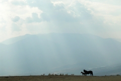 dscn0247