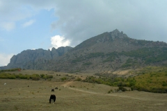 dscn0254