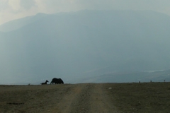 dscn0258