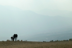 dscn0267